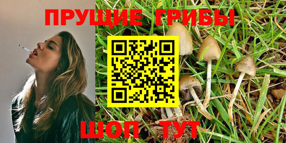 Коряжма  Псилоцибиновые грибы Magic Shrooms  Вход с VPN  Псилоцибиновые грибы ЛСД 