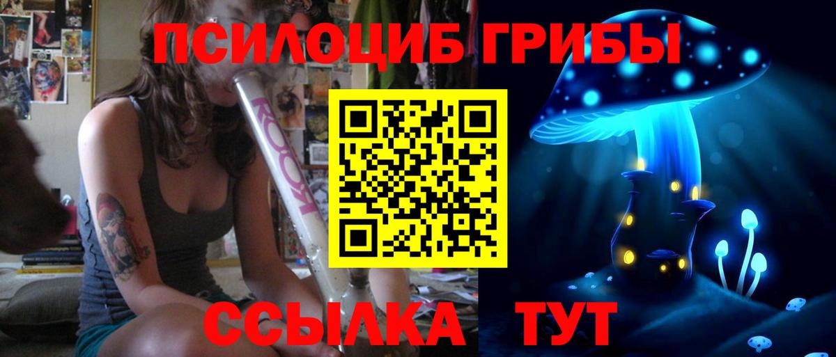 Галлюциногенные грибы мицелий Коряжма